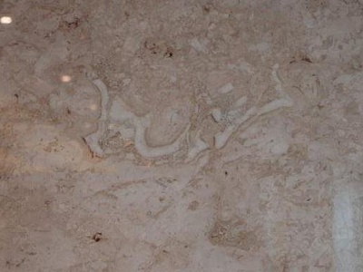 A 195-million-year-old slab with the inscription "Basmala" has been found in Turkey